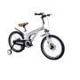 BUGATI GREY 20"
