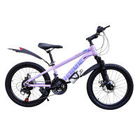 HAIBIKE PINK 20"