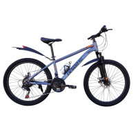 HAIBIKE GREY 24" 