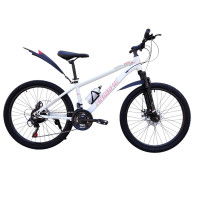 HAIBIKE WHITE 24" 