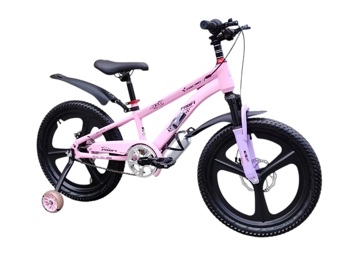 PROFI PINK BANDJ 20"