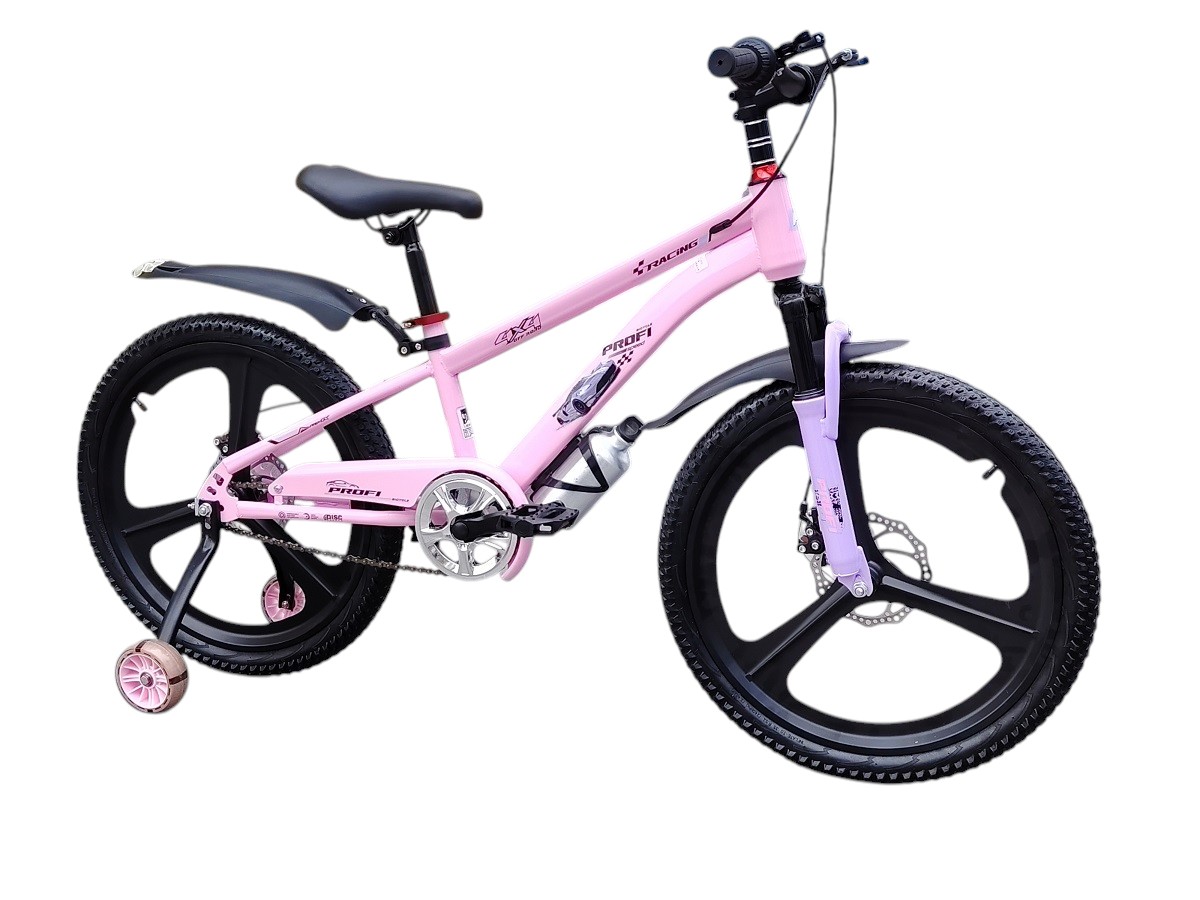 PROFI PINK BANDJ 22" 