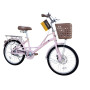 QITONG PINK 20"