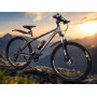 LOSK 27.5" BLACK ALUMIN OIL
