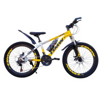 BMW YELLOW 24" L