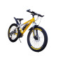 BMW YELLOW 24" L