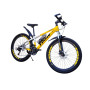 BMW YELLOW 26" L