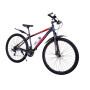 HAIBIKE RED 29" 