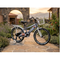 BOSS GRAY 20"