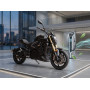 Էլեկտրական մոտոցիկլետ Diavel Pro Max