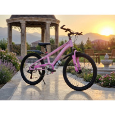 PHILIPS PINK 22" 