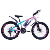 BMW PINK 24" L