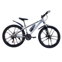 BMW GREY MATV 26" BNDJ