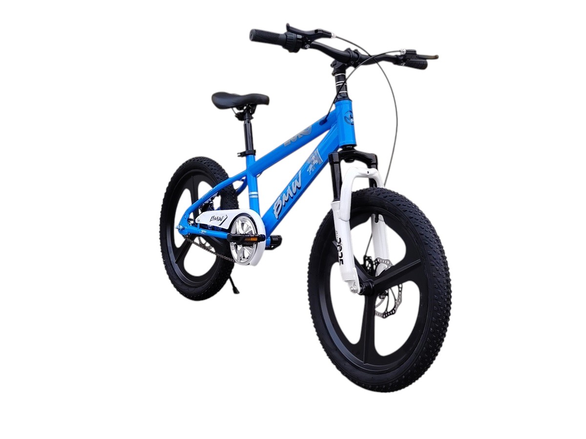 BMW LIGHT BLUE BANDJ 20"