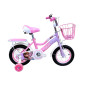 DIS PINK 12"
