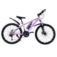 FERARI PINK 24" S