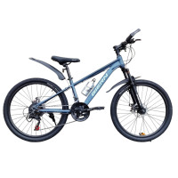 GIERN GRAY 24" SV