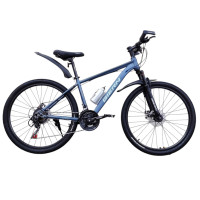 GIERN GRAY 26" SV