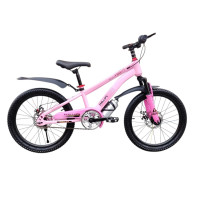 PHILIPS PINK 20"
