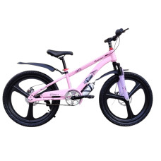 PROFI PINK BANDJ 22" 