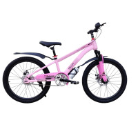 PHILIPS PINK 22" 