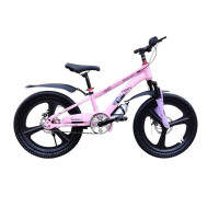 PROFI PINK BANDJ 20"