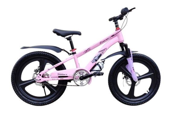 PROFI PINK BANDJ 20"