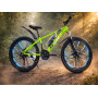 BMW GREEN MATV 26" BNDJ