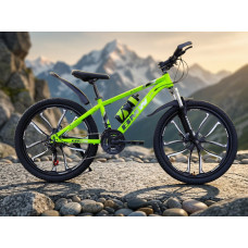 BMW GREEN MATV 24" BNDJ