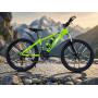 BMW GREEN MATV 24" BNDJ