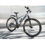CYTRACK 29" TRAUS GREY ALUMIN OIL