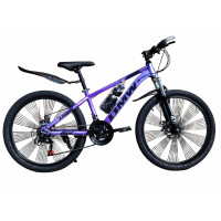 BMW PURPLE 26" SPIC