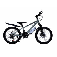 HAIBIKE CREM 20"