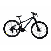 CYCTRACK 29" GREY ALUMIN OIL