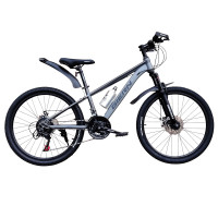 GIERN GRAY 24"
